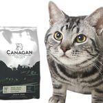 猫の尿路結石(尿道結石)の予防や健康維持に最適なキャットフード3選